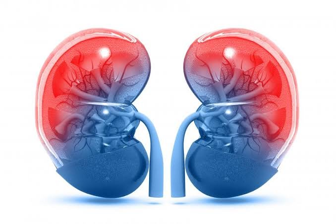 Kidney Care
